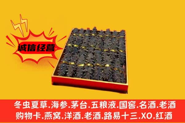 齐齐哈尔依安县回收海参